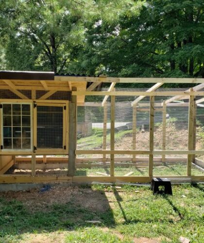 Chicken coop run sussex sale chickens extra double large doors house ideas walk wood build rabbit construction hutch extension addition