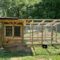 Chicken coop run sussex sale chickens extra double large doors house ideas walk wood build rabbit construction hutch extension addition